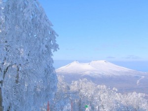 雪景色